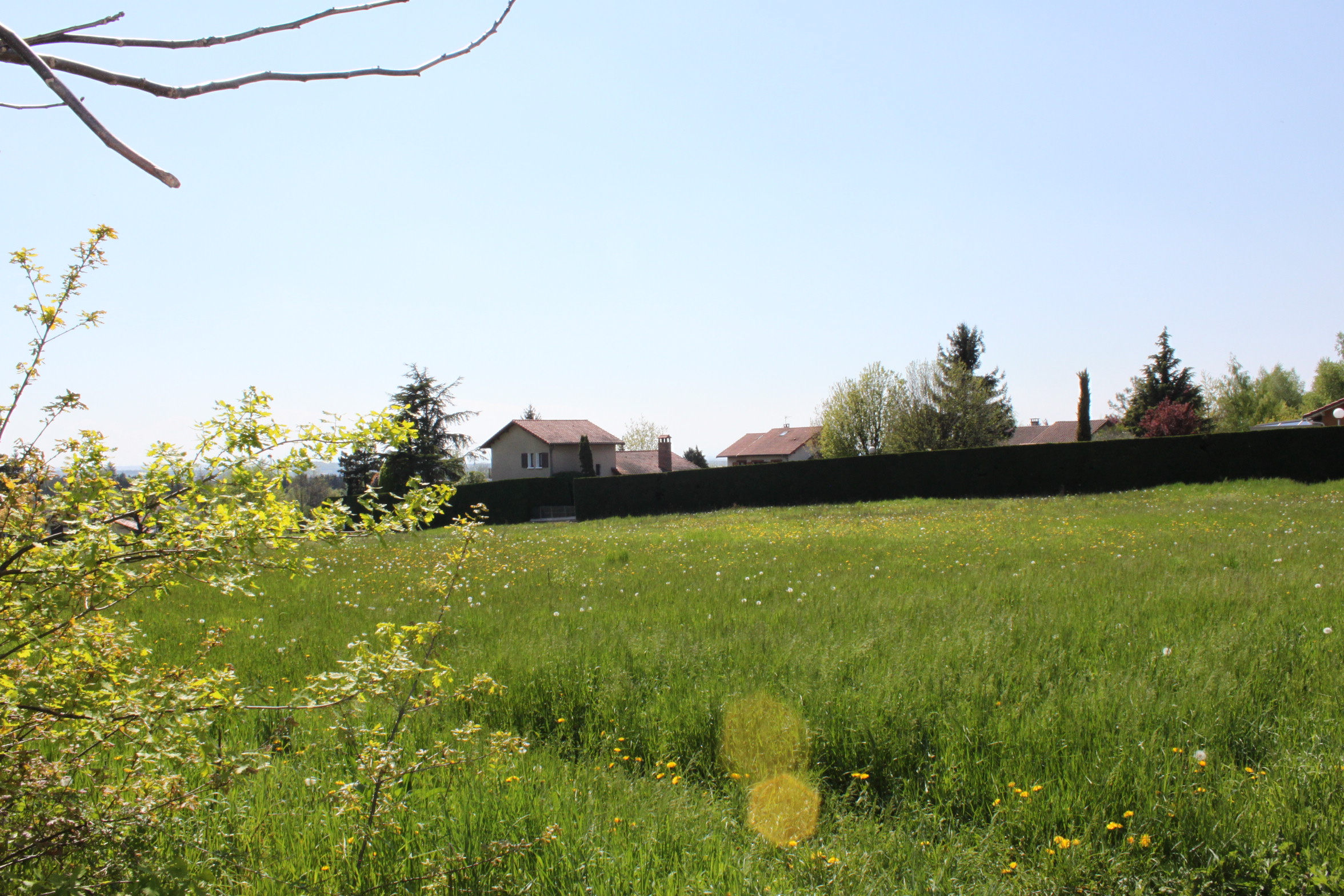 LOTISSEMENT GENAS - TERRAIN A BATIR GENAS - MAISON NEUVE A GENAS - LE 5 ETOILES